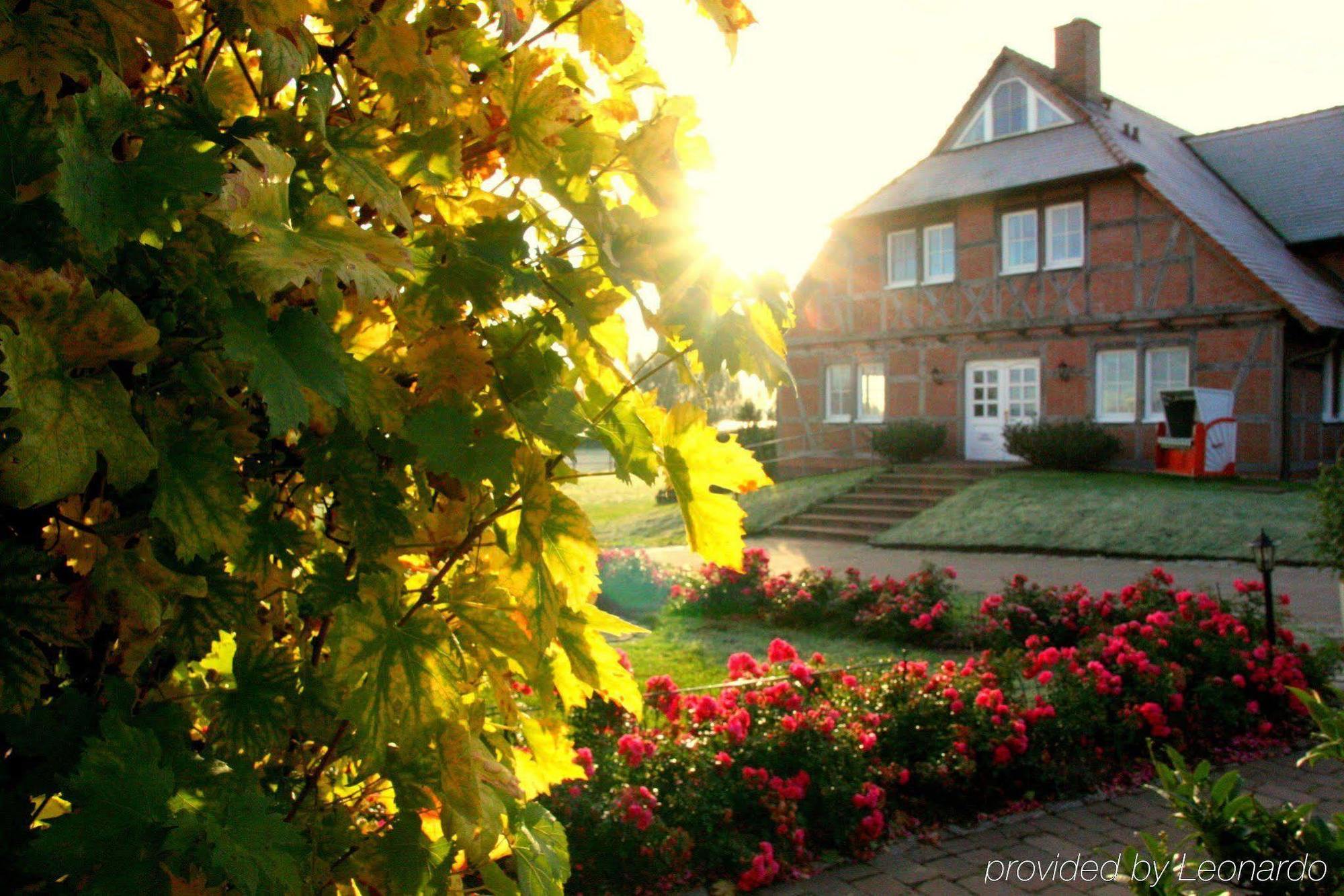 Flair Seehotel Zielow Ludorf ภายนอก รูปภาพ